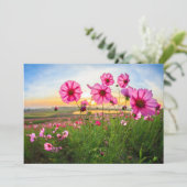 花 |チェンライ県、タイ サンキューカード (スタンド正面)