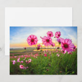 花 |チェンライ県、タイ サンキューカード (正面/裏面)