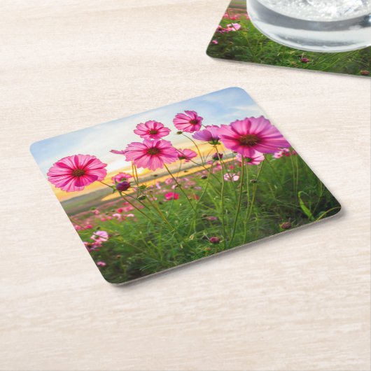 花 |チェンライ県、タイ スクエアペーパーコースター (アングル)