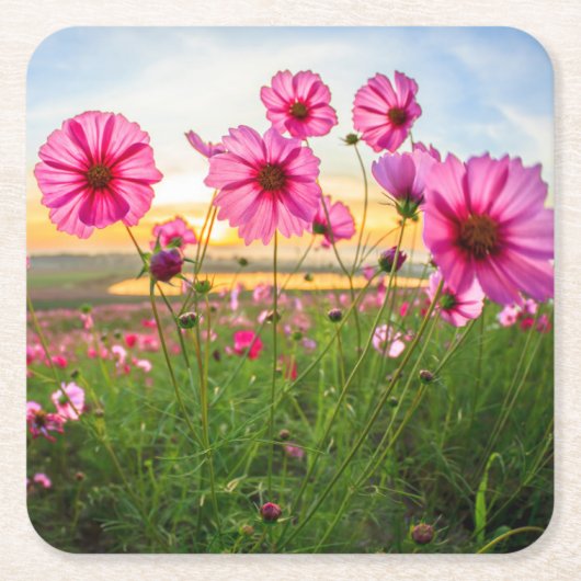 花 |チェンライ県、タイ スクエアペーパーコースター (正面)