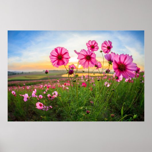 花 |チェンライ県、タイ ポスター (正面)