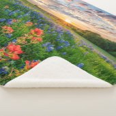 花 |テキサス州ブルーボンネット&インディアンペイントブラシ シェルパブランケット (3/4)