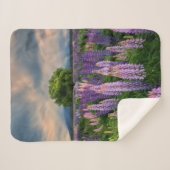 花 |ニュージーランドのルピネ畑 シェルパブランケット (正面(横))