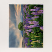花 |ニュージーランドのルピネ畑 ジグソーパズル (縦)