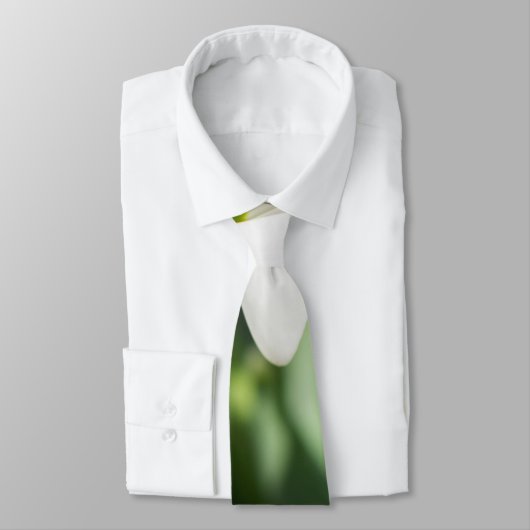 花 ネクタイ (タイ)