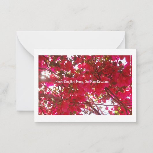 花 ノートカード (裏面)