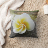 花,バグ,日本語,アジア中国の,旧+fa クッション (ブランケット)