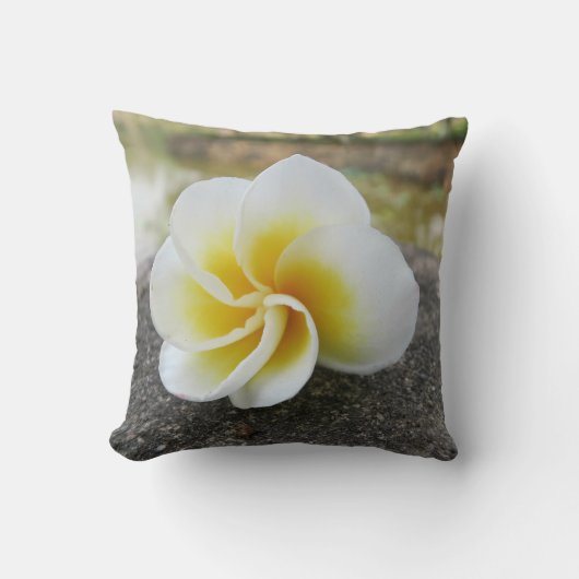 花,バグ,日本語,アジア中国の,旧+fa クッション (正面)