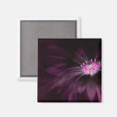 花 |パープルデイジー マグネット (正面/裏面)