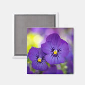 花 |パープルパンジー マグネット (正面/裏面)