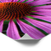 花 |ピンクのコンフロアーガーデン ポスター (角)