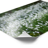 花 フォトプリント            (角)