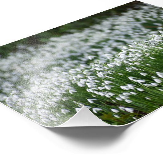 花 フォトプリント            (角)