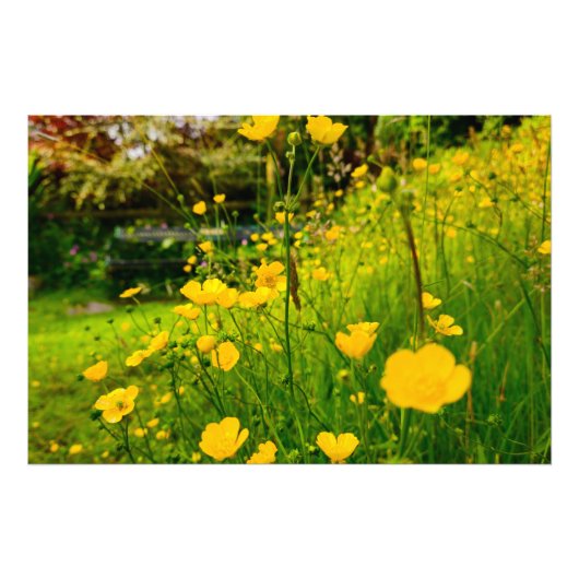 花 フォトプリント            (正面)