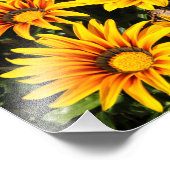 花 フォトプリント            (角)