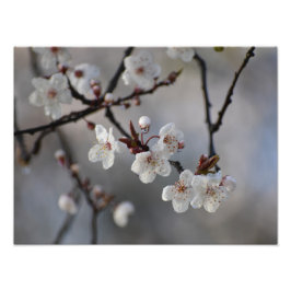 花 フォトプリント           