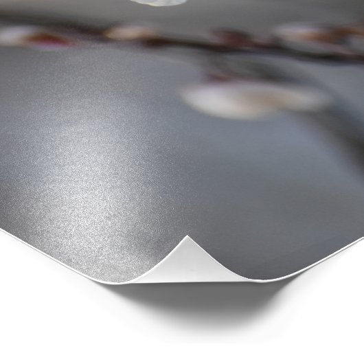 花 フォトプリント            (角)