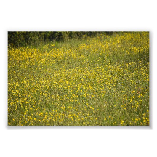 花 フォトプリント            (正面)