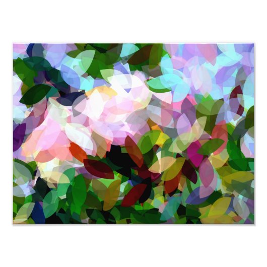 花 フォトプリント            (正面)