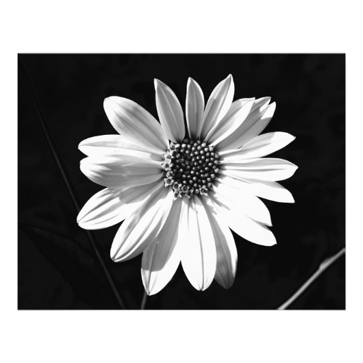 花 フォトプリント            (正面)