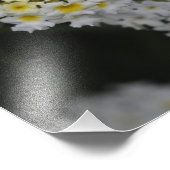 花 – フローレス フォトプリント            (角)