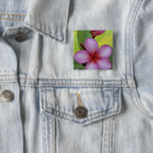 花、プルメリア属)、南太平洋、ニウエ 缶バッジ (インサイチュ)