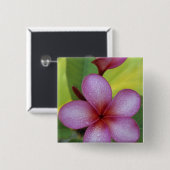 花、プルメリア属)、南太平洋、ニウエ 缶バッジ (正面&裏面)