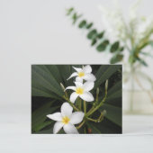 花 - ベリングラス園芸植物園 ポストカード (スタンド正面)