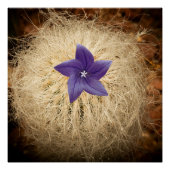 花 ポスター (正面)