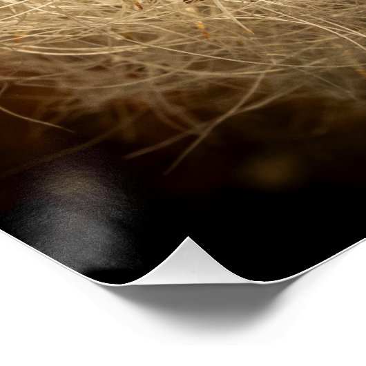 花 ポスター (コーナー)