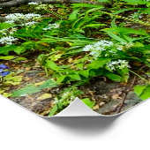 花 ポスター (コーナー)