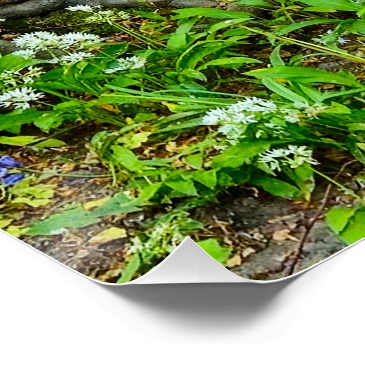 花 ポスター (コーナー)