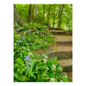 花 ポスター (正面)