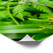 花 ポスター (コーナー)