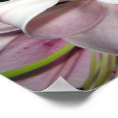 花 ポスター (角)