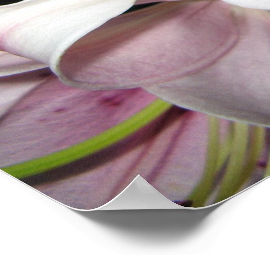 花 ポスター (角)