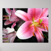 花 ポスター (正面)