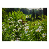 花 ポスター (正面)