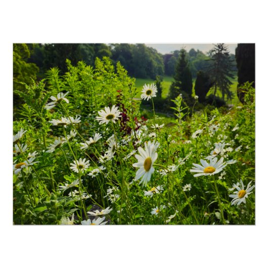 花 ポスター (正面)