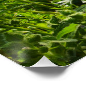 花 ポスター (コーナー)