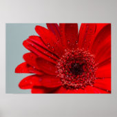 花 ポスター (正面)