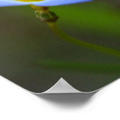 花 ポスター (角)