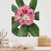 花 ポスター (キッチン)