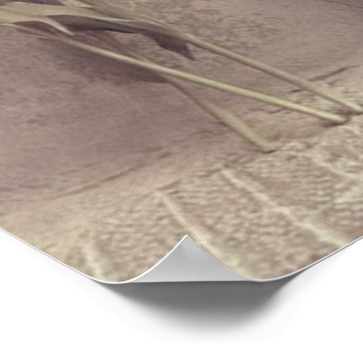 花 ポスター (角)