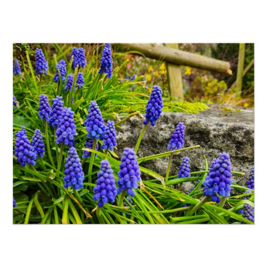 花 ポスター (正面)