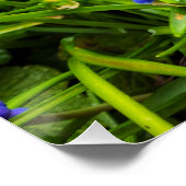 花 ポスター (コーナー)