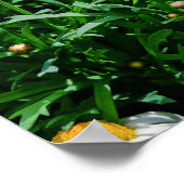 花 ポスター (角)