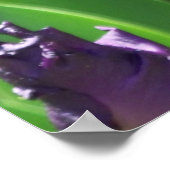 花 ポスター (角)