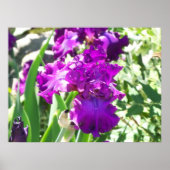 花 ポスター (正面)