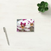 花 ポストイット (オフィス)